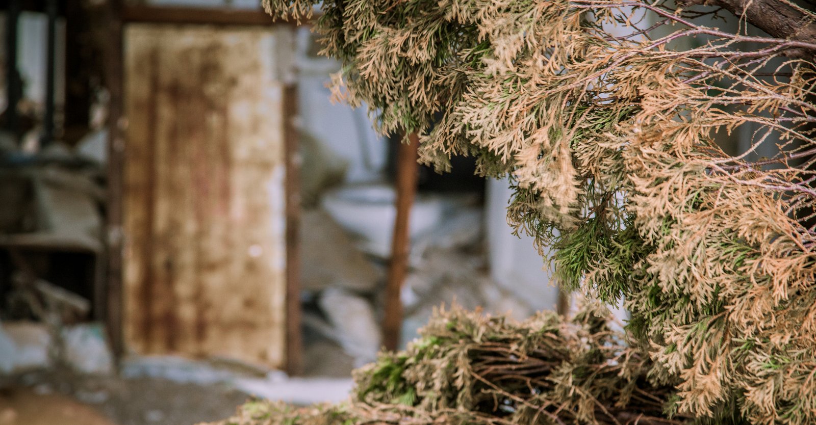 art-of-sandy-mo-seagate 2-66.jpg